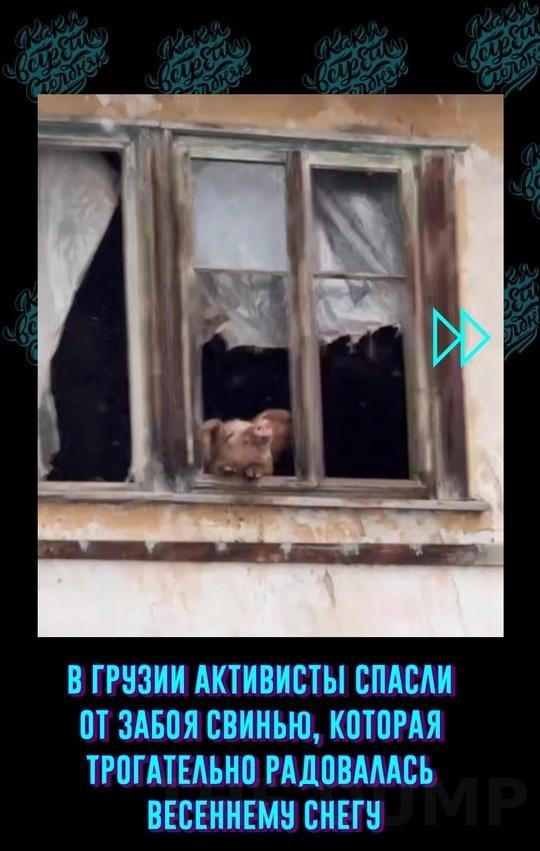 acy cy pyy, oopa caa eo pycoo eo, e oa paoco paa  ecee ...