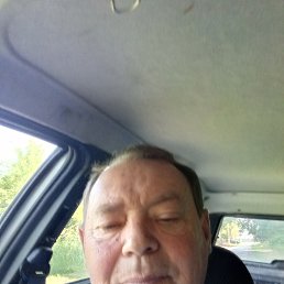 , 61, 