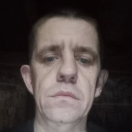 ����, �����-���������, 42 ����