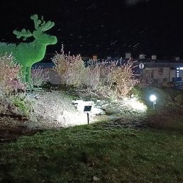 ����, �����, 34 ����