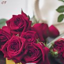 ���� �����, �������, 55 ��� - ��������� 5 ��� 2026 � ������ ������ ��������