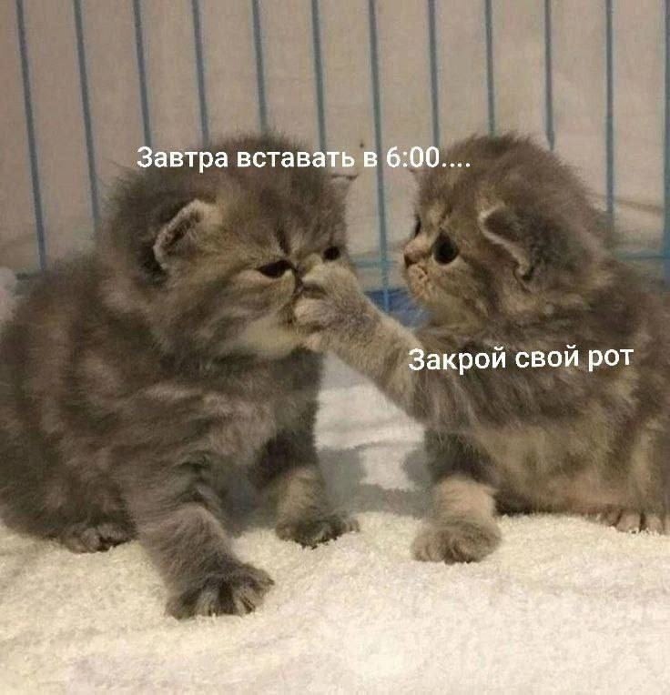  - 17  2025  23:36