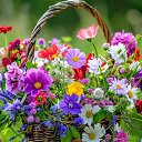 ���� �����, �������������� - ��������� 4 ������� 2024 � ������ ���� ����������