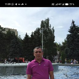 , 46 , 