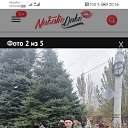 ���� ������, �������, 59 ��� - ��������� 3 ������ 2026