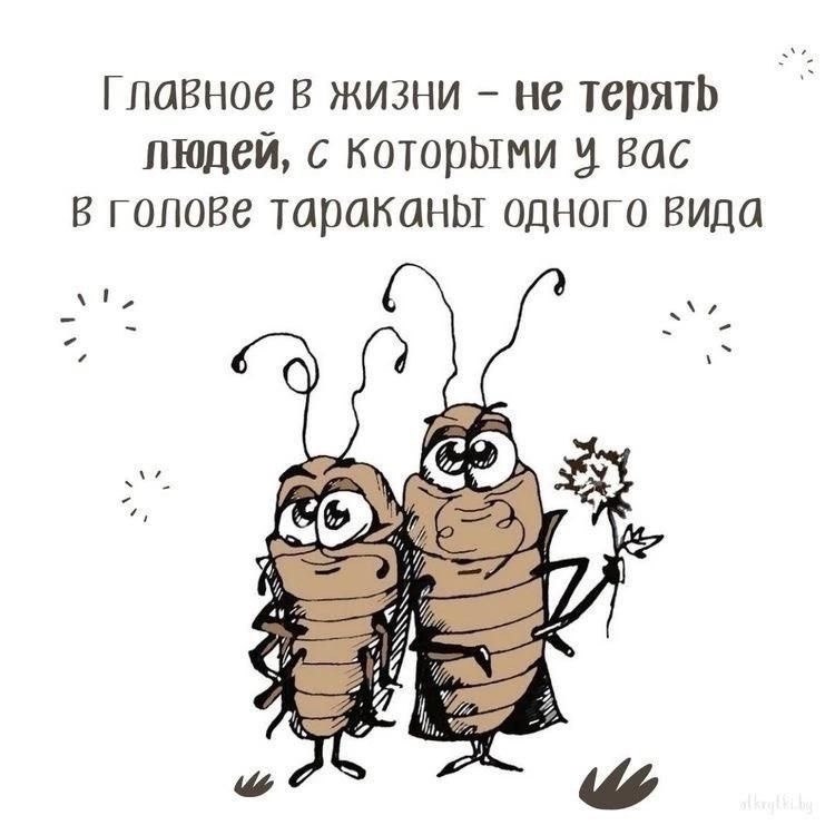  , !() - 8  2024  12:26