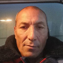 ����, �����-���������, 54 ����