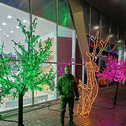 ����, �����, 38 ���