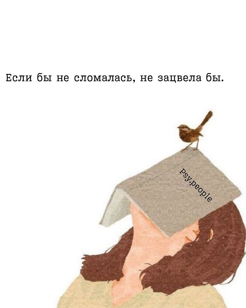 НОЧЬ - 27 октября 2025 в 16:18 - 4