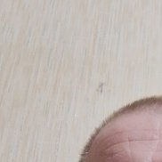 ��������, 54 ����, ������