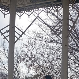 ���� �������, ���, 43 ���� - ��������� 30 ����� 2026