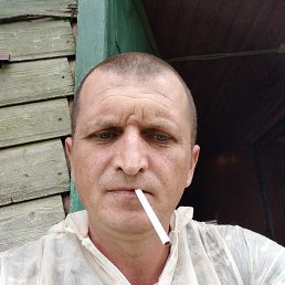, 39, 