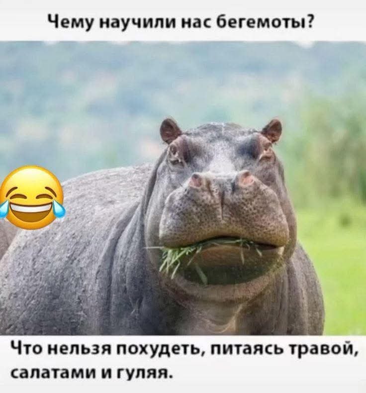 :)