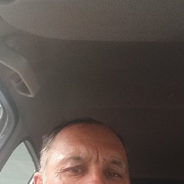 , 50, 