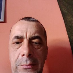 , 51, 