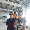 ���� �����, ����������, 41 ��� - ��������� 5 ���� 2024 � ������ ���� ����������