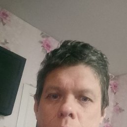 ���� ������, �����, 41 ��� - ��������� 17 ������� 2026