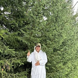 ���� ����, ������, 35 ��� - ��������� 3 ������� 2026