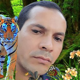 ����, ������, 35 ���