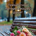 ���� ���������, ��������, 36 ��� - ��������� 28 ������ 2025 � ������ ���� ����������
