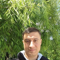 , 29, 