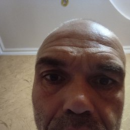 �������, ������, 46 ���