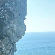 �����, 56 ���, ���