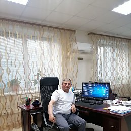   , 41, 