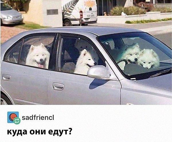    - 5  2025  16:33