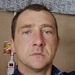 �������, ������, 40 ���