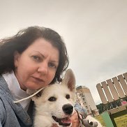 �������, 46 ���, ������