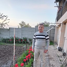 Constantin, , 70 