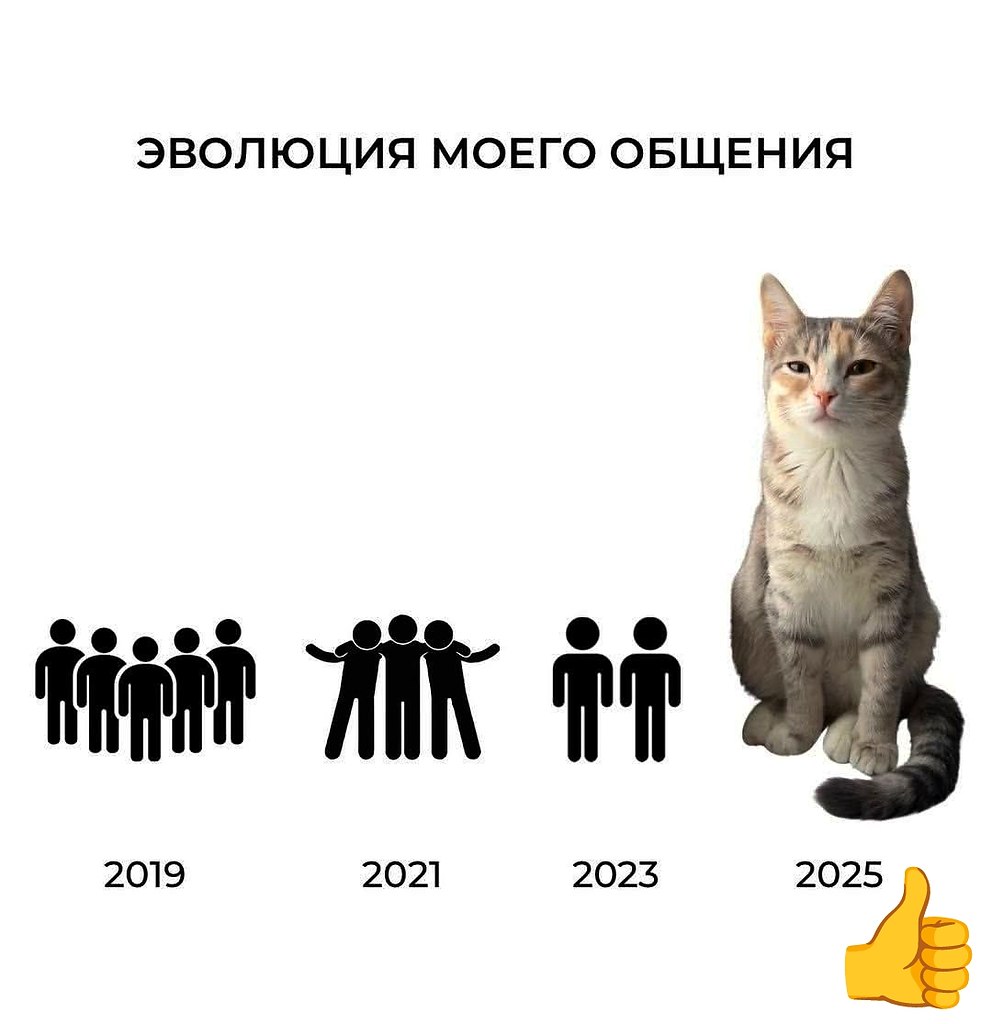   - 29  2025  02:56