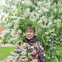 ���� ������, �����-���������, 66 ��� - ��������� 1 ������� 2025