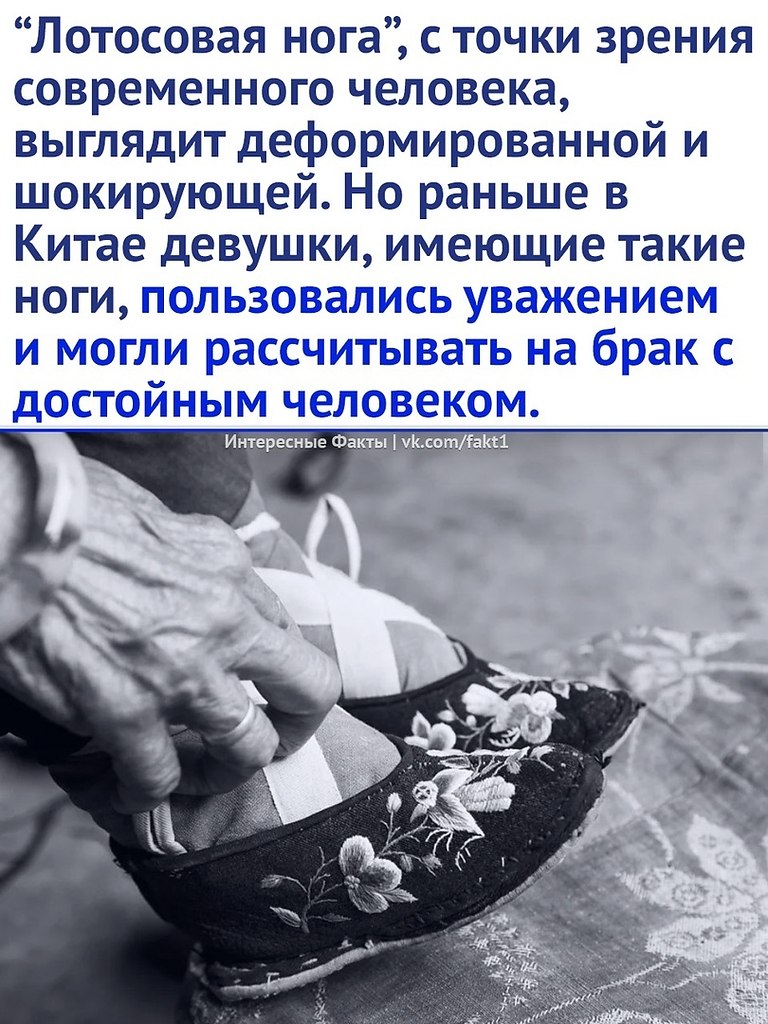  - 11  2023  07:17 - 3