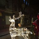 ���� ����� ����������, �����������, 66 ��� - ��������� 26 ������ 2026