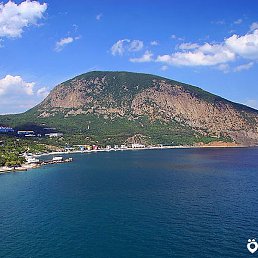 �����, ����, 46 ���