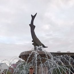 ������, �������, 36 ���