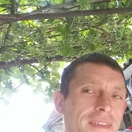 ��������, ������, 41 ���