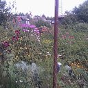 ���� ���������, �������� - ��������� 22 ������� 2025 � ������ �����