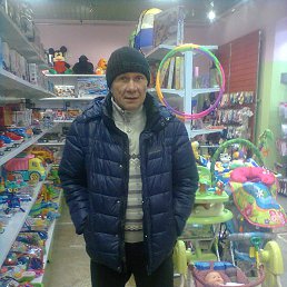 , 61, 