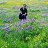 ���� Arman, ������, 44 ���� - ��������� 18 ������� 2024