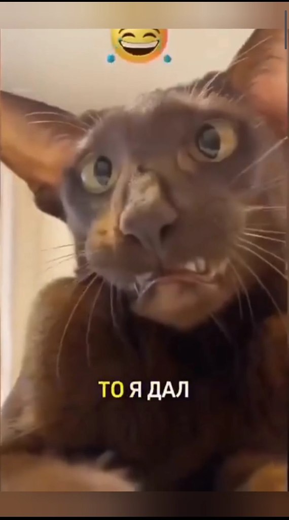 � ������ ���� ��� �� ����� ������ - 2