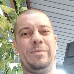 �������, ������, 36 ���