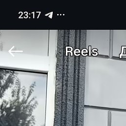 �����, �������, 43 ����