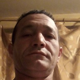 ������, ������, 45 ���