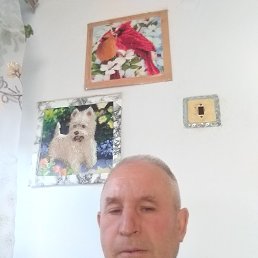, 53, 