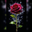  @_O_@,  -  18  2024    