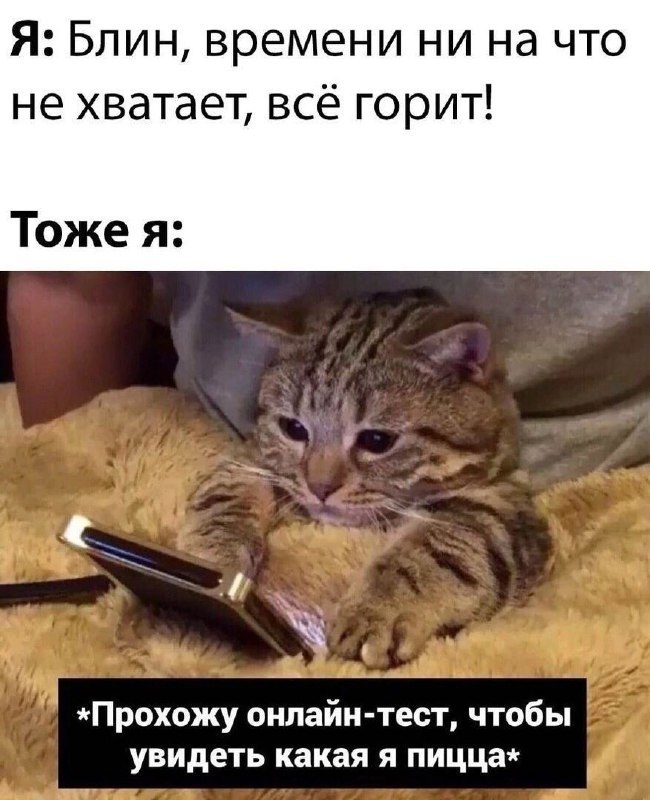     -    .    ...