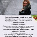 ���� �������, ������ - ��������� 1 ������ 2026 � ������ ������ ��������